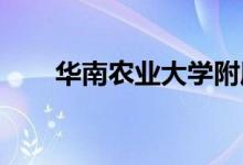 華南農業(yè)大學附屬幼兒園的地址在哪