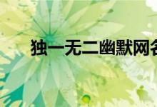 獨(dú)一無二幽默網(wǎng)名（驚艷的幽默網(wǎng)名）