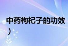 中藥枸杞子的功效（滋陰益腎清肝明目的作用）
