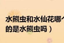水熊蟲(chóng)和水仙花哪個(gè)生命力更強(qiáng)（生命力最強(qiáng)的是水熊蟲(chóng)嗎）