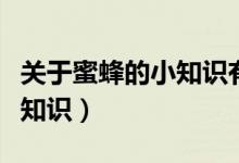 關(guān)于蜜蜂的小知識有哪些（盤點關(guān)于蜜蜂的小知識）