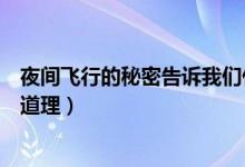 夜間飛行的秘密告訴我們什么（夜間飛行的秘密告訴我們啥道理）