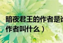 暗夜君王的作者是誰誰告訴我?。ò狄咕醯淖髡呓惺裁矗?class=