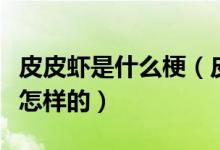 皮皮蝦是什么梗（皮皮蝦我們走的發(fā)展經(jīng)過是怎樣的）