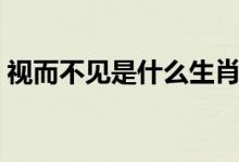 視而不見(jiàn)是什么生肖（視而不見(jiàn)是哪個(gè)生肖）