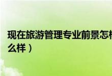 現(xiàn)在旅游管理專業(yè)前景怎樣（2021旅游管理專業(yè)就業(yè)前景怎么樣）