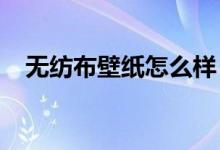 無(wú)紡布壁紙?jiān)趺礃?？如何選擇無(wú)紡布壁紙