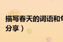 描寫春天的詞語(yǔ)和句子（贊美春天的美妙句子分享）