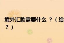 境外匯款需要什么 ？（給不同“海外匯款”都需要哪些信息？）