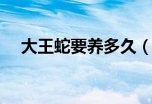大王蛇要養(yǎng)多久（兩種養(yǎng)殖模式來決定）