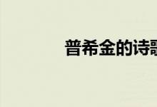 普希金的詩(shī)歌（普希金簡(jiǎn)介）