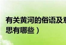 有關(guān)黃河的俗語及意思（有關(guān)黃河的俗語及意思有哪些）