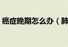 癌癥晚期怎么辦（肺癌晚期治療的六點建議）