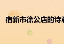宿新市徐公店的詩(shī)意思（完整的古詩(shī)有嗎）