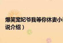 爆笑寵妃爺我等你休妻小說(shuō)簡(jiǎn)介（爆笑寵妃爺我等你休妻小說(shuō)介紹）