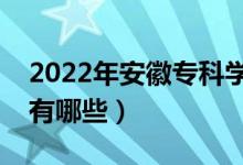 2022年安徽?？茖W(xué)校排名（最好的大專院校有哪些）