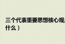 三個(gè)代表重要思想核心觀點(diǎn)的感悟（三個(gè)代表的核心觀點(diǎn)是什么）
