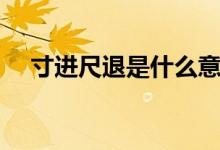 寸進尺退是什么意思（寸進尺退的解釋）