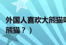 外國(guó)人喜歡大熊貓嗎（外國(guó)人到底有多喜歡大熊貓？）