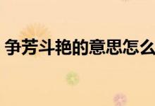 爭(zhēng)芳斗艷的意思怎么解釋?zhuān)?zhēng)芳斗艷的意思）