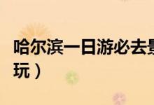 哈爾濱一日游必去景點(diǎn)（哈爾濱一日游哪里好玩）