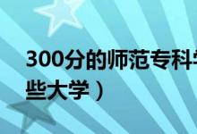 300分的師范?？茖W(xué)校有哪些（2021能上哪些大學(xué)）