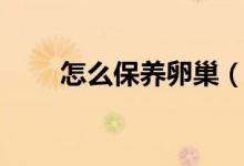 怎么保養(yǎng)卵巢（女性如何保養(yǎng)卵巢）