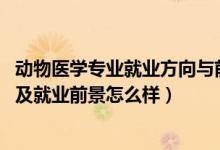 動(dòng)物醫(yī)學(xué)專業(yè)就業(yè)方向與前景（2022動(dòng)物醫(yī)學(xué)專業(yè)就業(yè)方向及就業(yè)前景怎么樣）