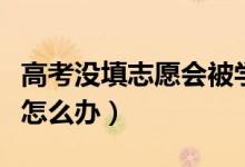 高考沒填志愿會被學(xué)校錄取嗎（錯過志愿填報怎么辦）