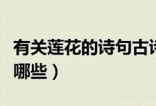 有關(guān)蓮花的詩句古詩（有關(guān)蓮花的詩句古詩有哪些）