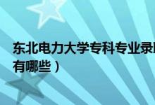 東北電力大學(xué)專(zhuān)科專(zhuān)業(yè)錄取分?jǐn)?shù)線(xiàn)（東北電力大學(xué)專(zhuān)科專(zhuān)業(yè)有哪些）