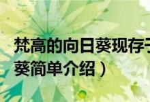 梵高的向日葵現(xiàn)存于哪個博物館（梵高的向日葵簡單介紹）