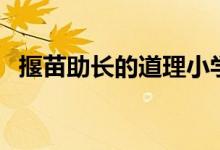 揠苗助長(zhǎng)的道理小學(xué)生（揠苗助長(zhǎng)的道理）
