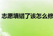 志愿填錯了該怎么修改（填錯志愿了怎么辦）