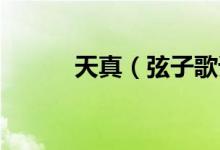 天真（弦子歌詞 歌曲天真歌詞）
