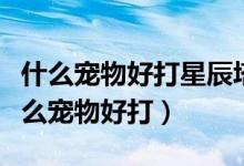 什么寵物好打星辰塔（洛克王國星辰之塔用什么寵物好打）