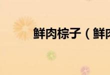 鮮肉棕子（鮮肉粽子怎么腌制？）