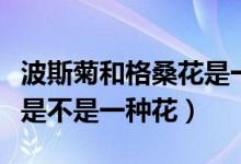 波斯菊和格?；ㄊ且环N花嗎（波斯菊和格桑花是不是一種花）