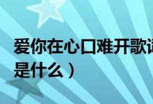 愛你在心口難開歌詞（愛你在心口難開的歌詞是什么）