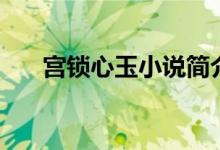 宮鎖心玉小說(shuō)簡(jiǎn)介（講述了什么故事）