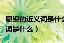 愿望的近義詞是什么四年級(jí)上冊(cè)（愿望的近義詞是什么）
