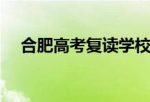 合肥高考復(fù)讀學(xué)校有哪些（哪個(gè)比較好）