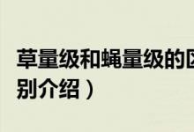 草量級(jí)和蠅量級(jí)的區(qū)別（草量級(jí)和蠅量級(jí)的區(qū)別介紹）