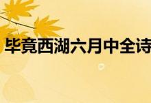 畢竟西湖六月中全詩(shī)解釋（畢竟西湖六月中）