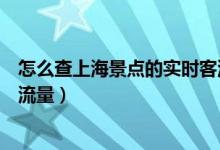 怎么查上海景點的實時客流量（如何查詢上海景點的實時客流量）
