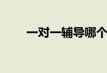 一對(duì)一輔導(dǎo)哪個(gè)機(jī)構(gòu)好（怎么選擇）