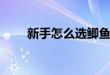 新手怎么選鯽魚竿（怎么選擇魚竿）