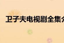 衛(wèi)子夫電視劇全集介紹（衛(wèi)子夫劇集節(jié)選）