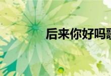 后來(lái)你好嗎歌詞（歌手簡(jiǎn)介）