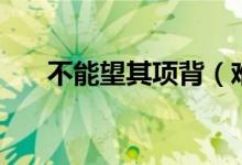 不能望其項(xiàng)背（難以望其項(xiàng)背對(duì)不對(duì)）